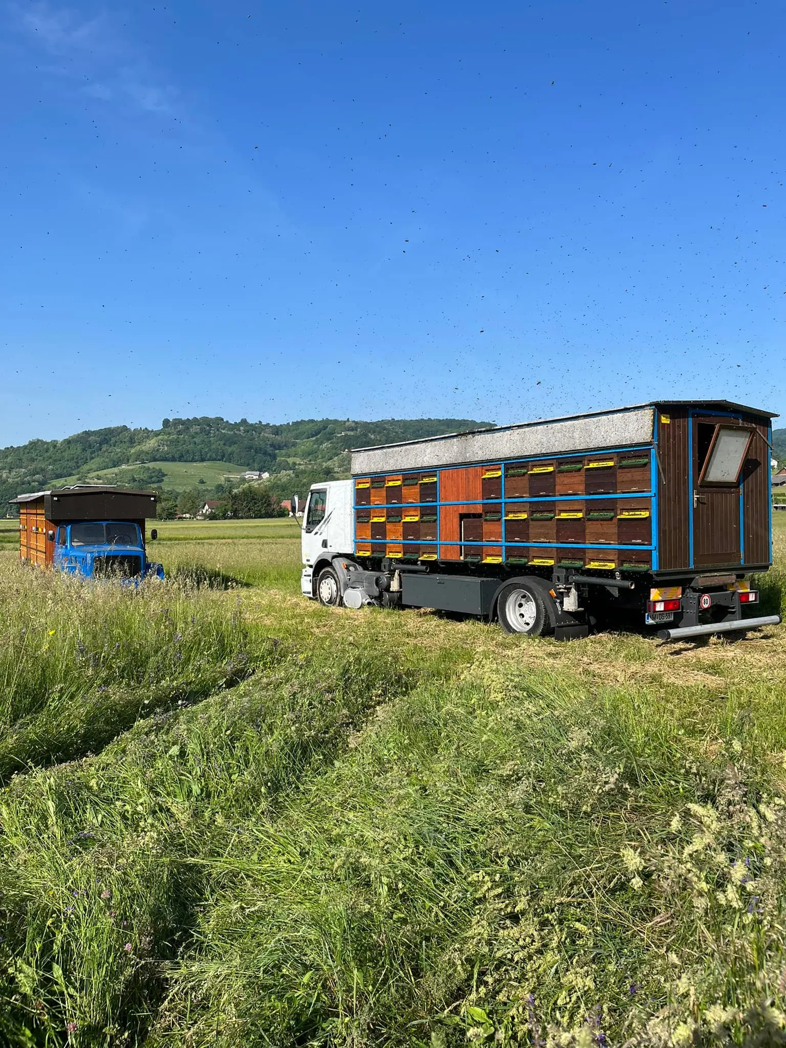 Prevozno čebelarstvo 5